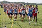 Start of the senior men at the Sherman Cup, Hedley Farm, Tanfield,  County Durham.